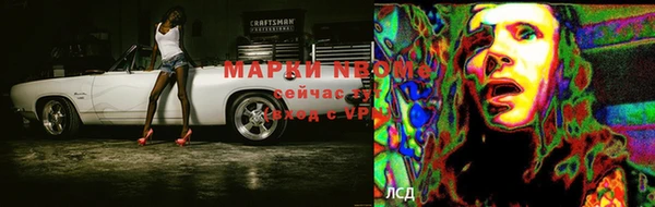 амф Елизово