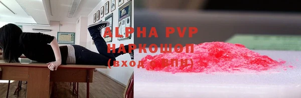 амф Елизово