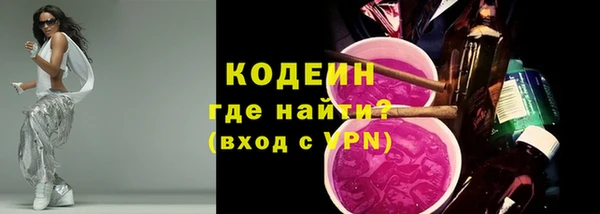 трава Ельня