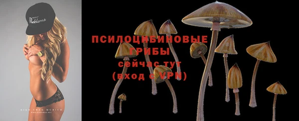 трава Ельня