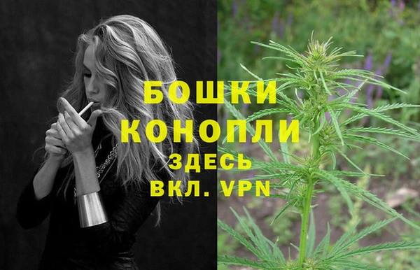 стаф Дмитриев