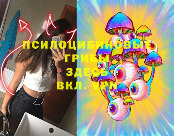 амф Елизово