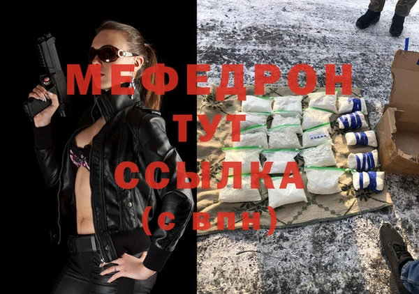 трава Ельня