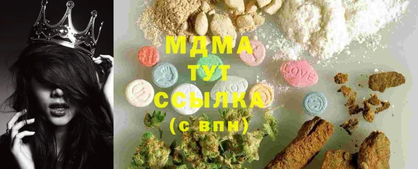 трава Ельня
