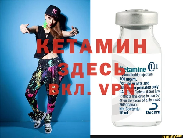 трава Ельня