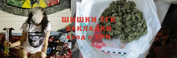 трава Ельня